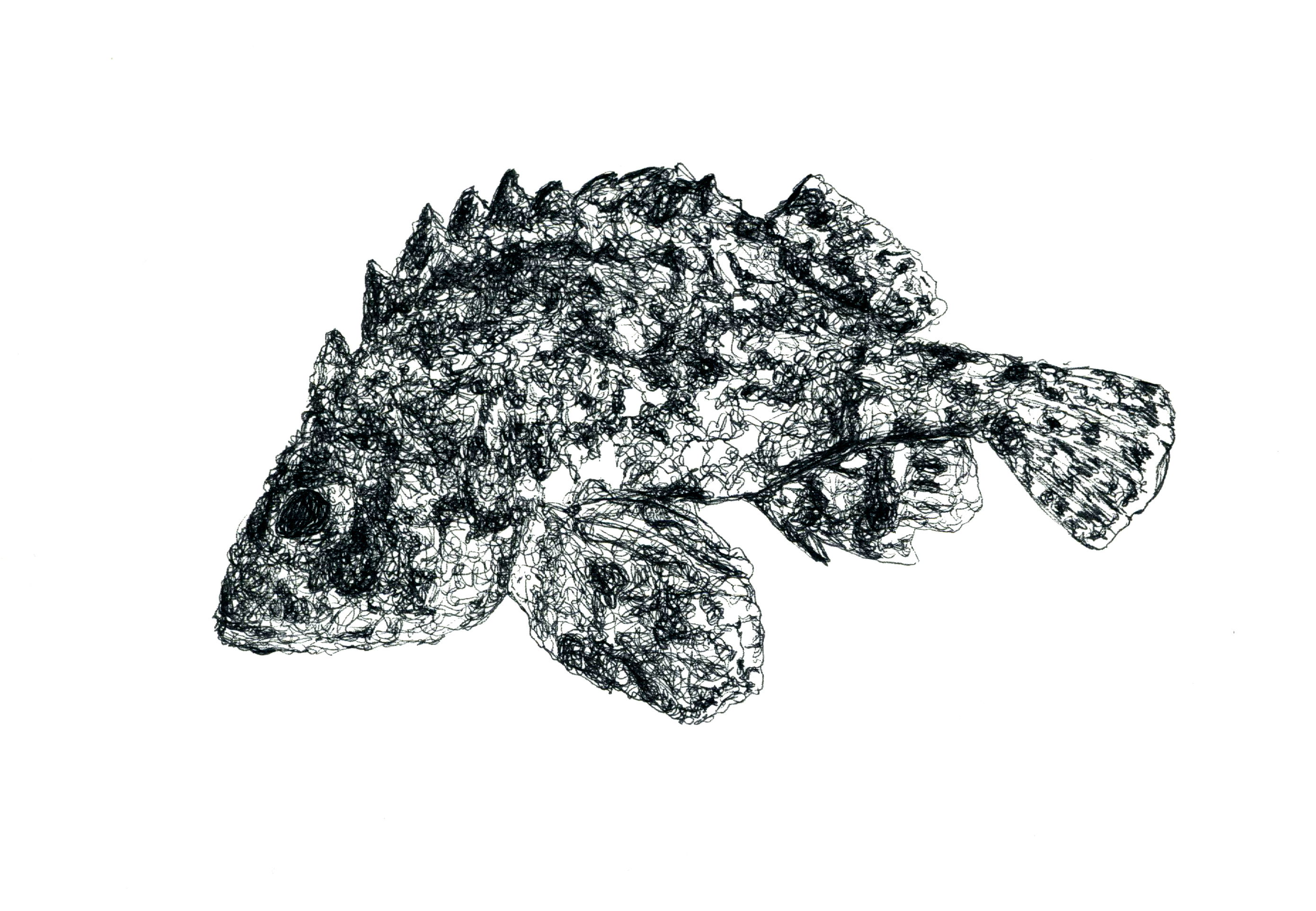 Especies peligrosas